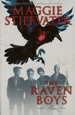 Raven Cycle, The (TPB)