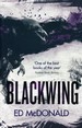 Raven's Mark (TPB)