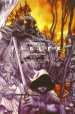 Fables Deluxe (HC)
