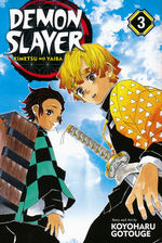 Demon Slayer Kimetsu No Yaiba (TPB) nr. 3. 