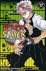 Demon Slayer Kimetsu No Yaiba (TPB) nr. 17. 