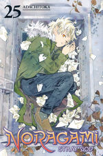 Noragami Stray God (TPB) nr. 25: Picking Sides.