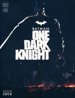 Batman (TPB): One Dark Knight. 