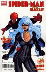 Spider-Man/Black Cat: The Evil that Men Do nr. 6. 