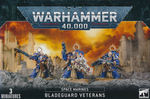 WARHAMMER 40K - SPACE MARINE: Bladeguard Veterans (BFR) (3)