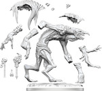 D&D FRAMEWORKS: Troll (1)
