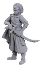 D&D NOLZURS MARVELOUS UNPAINTED MINIS: Ansalon Human Rogue (Wave 23) (1)