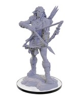 PATHFINDER DEEP CUTS UNPAINTED MINIS: Wood Giant (1)