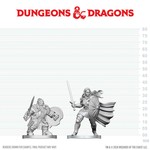 D&D NOLZURS MARVELOUS UNPAINTED MINIS: Dwarf Fighter and Orc Paladin (2)