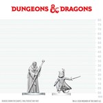 D&D NOLZURS MARVELOUS UNPAINTED MINIS: Cultist of Bhaal and Cultist of Myrkul (2)