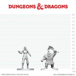 D&D NOLZURS MARVELOUS UNPAINTED MINIS: Cultist of Bane and Dwarf Zhentilar Soldier (2)