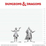 D&D NOLZURS MARVELOUS UNPAINTED MINIS: Knight and Mage Apprentice (2)