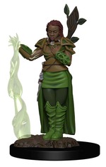 D&D ICONS OF THE REALM PREMIUM FIGURES: Human Female Druid (1)