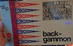 BACKGAMMON - BRUGT - Backgammon (F)