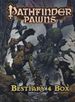 PATHFINDER - PAWN COLLECTION